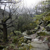 Photo de france - La randonnée du Mont Caroux